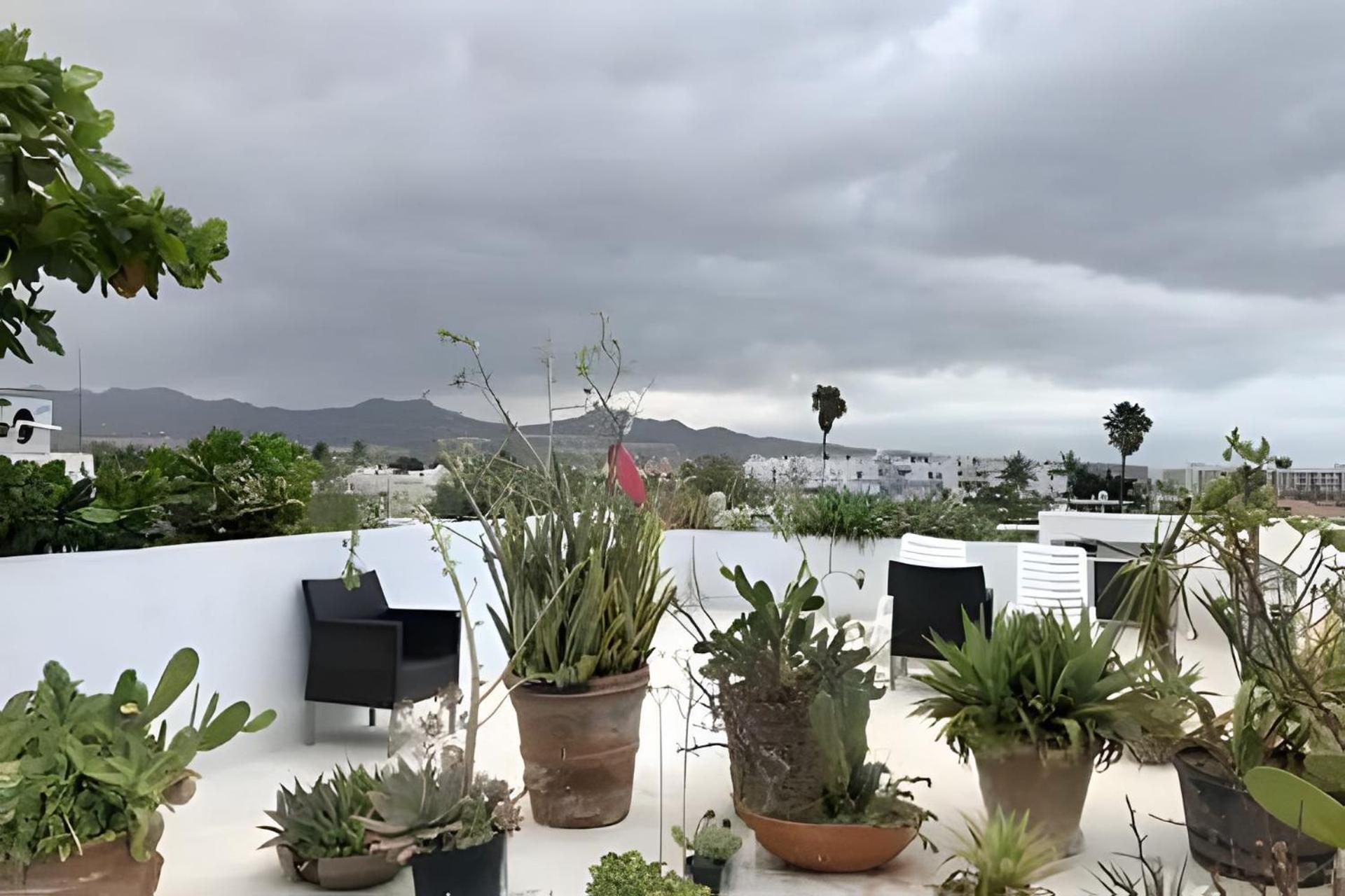 12 De Octubre Lägenhet Cabo San Lucas Exteriör bild