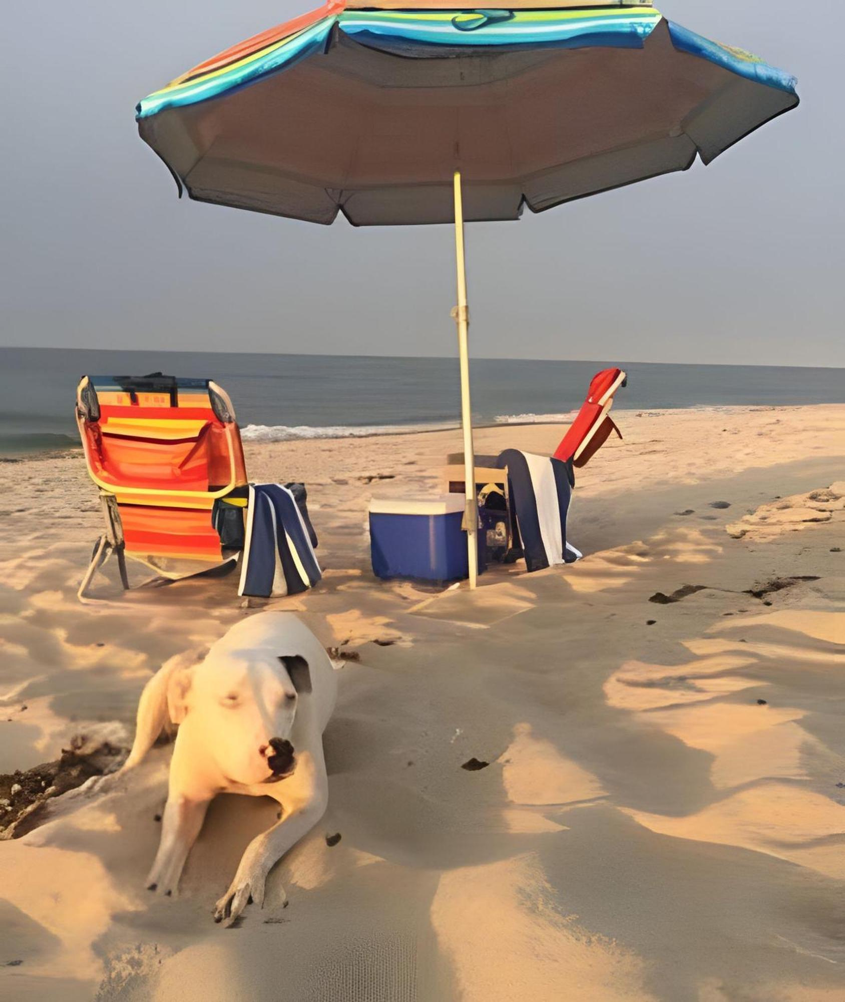 12 De Octubre Lägenhet Cabo San Lucas Exteriör bild