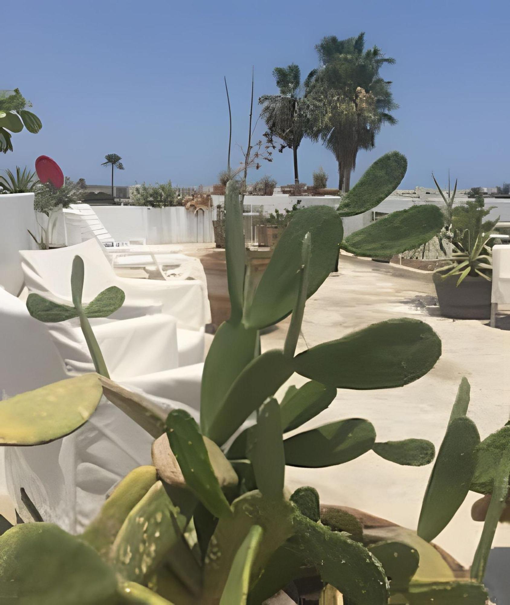 12 De Octubre Lägenhet Cabo San Lucas Exteriör bild